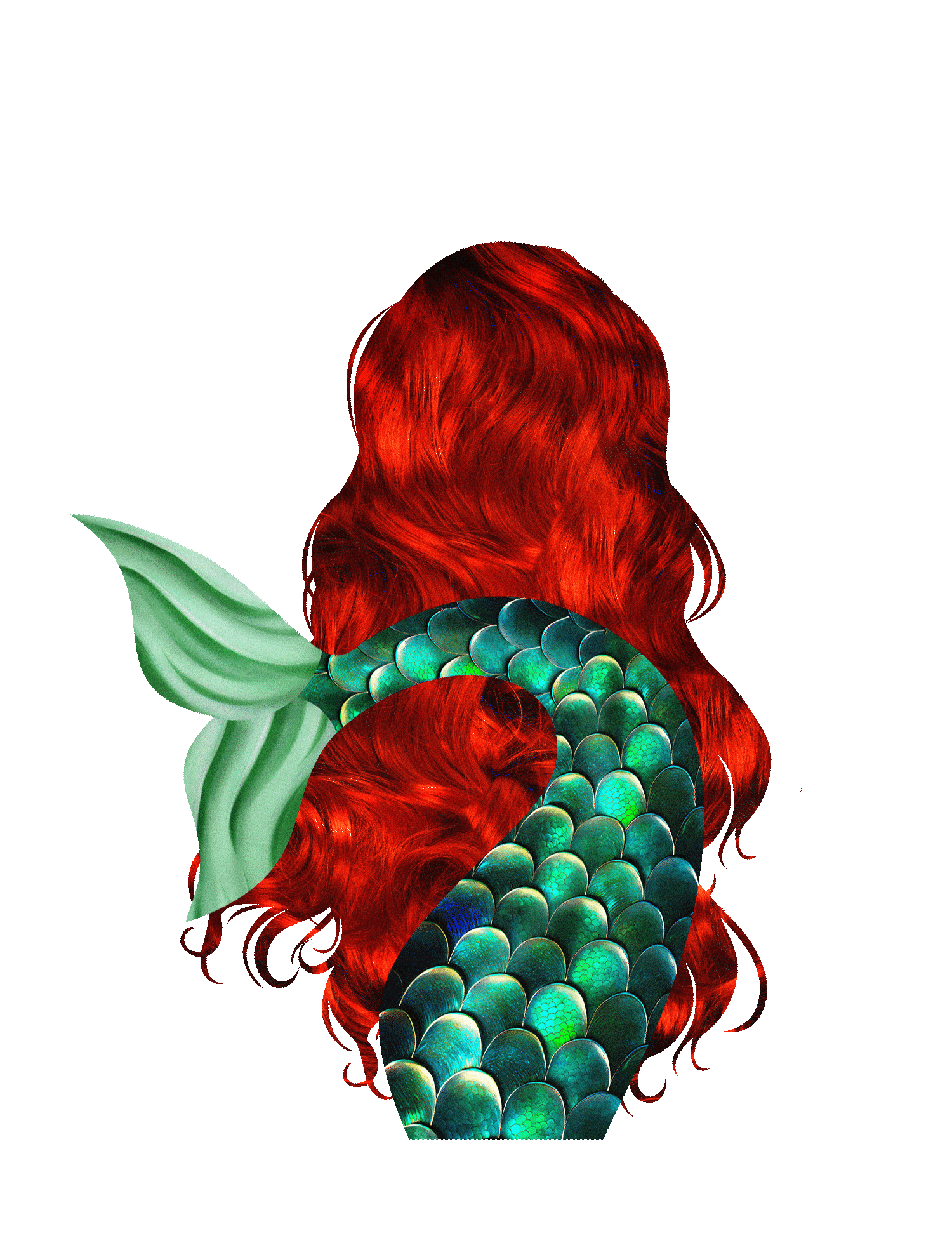 Ariel's Tail